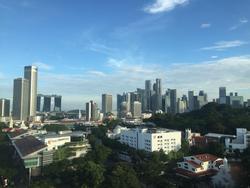 the-cathay-residence photo thumbnail #3